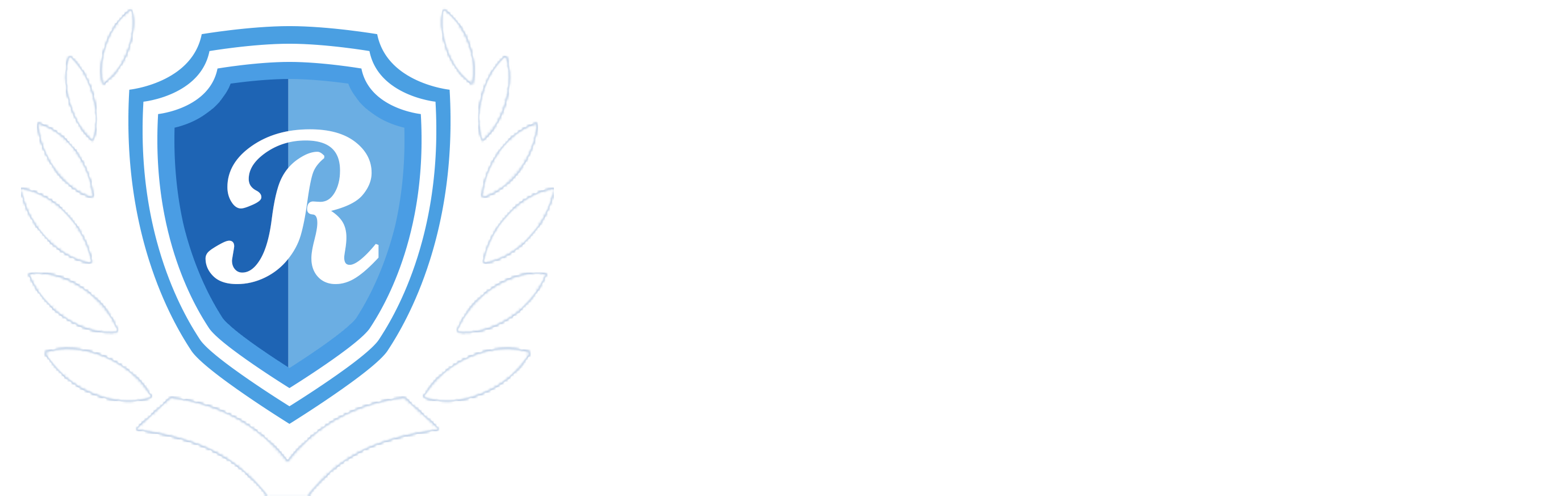 赛孚优安